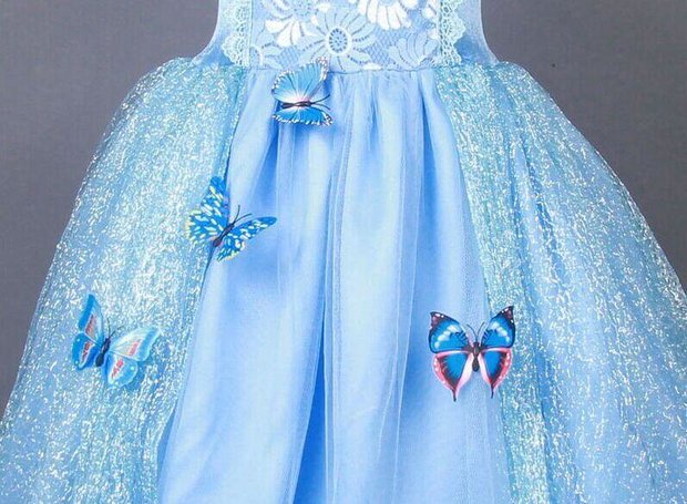 Unieke vlinder Assepoester prinsessen jurk