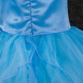 Assepoester prinsessen jurk